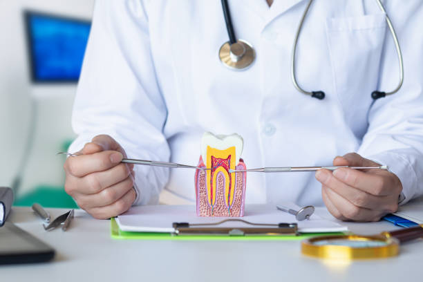 Best Urgent Tooth Repair  in Mangum, OK